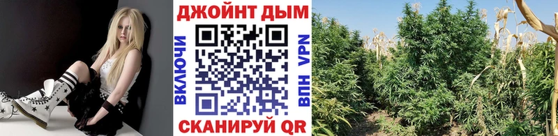 Марихуана Amnesia  Зуевка 